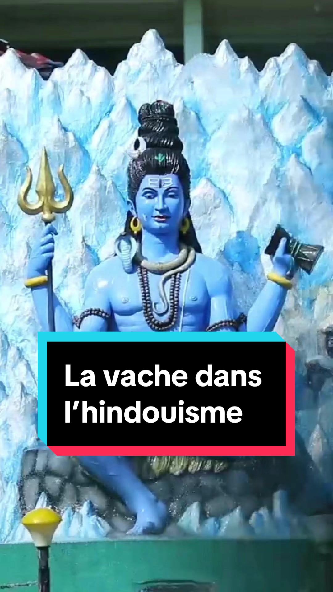 @malbhaarata