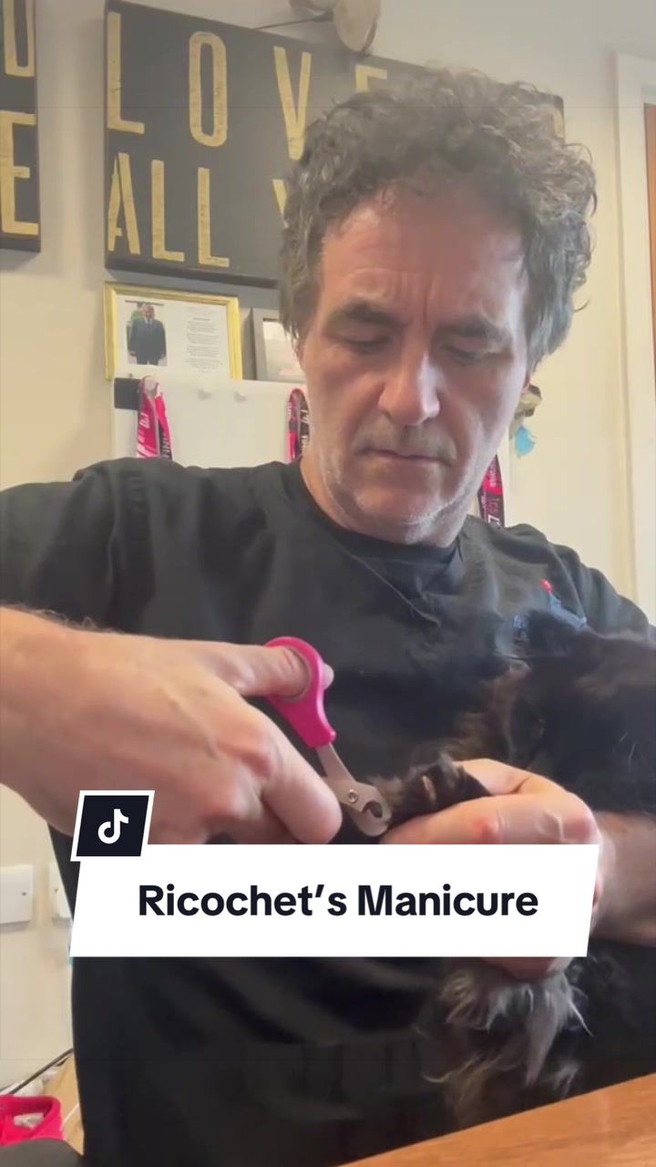 @profnoelfitzpatrick