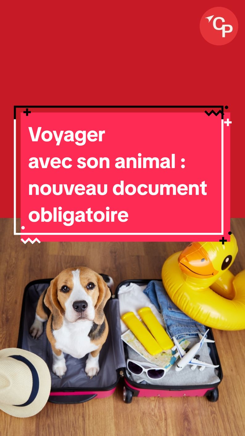 @Courrier picard