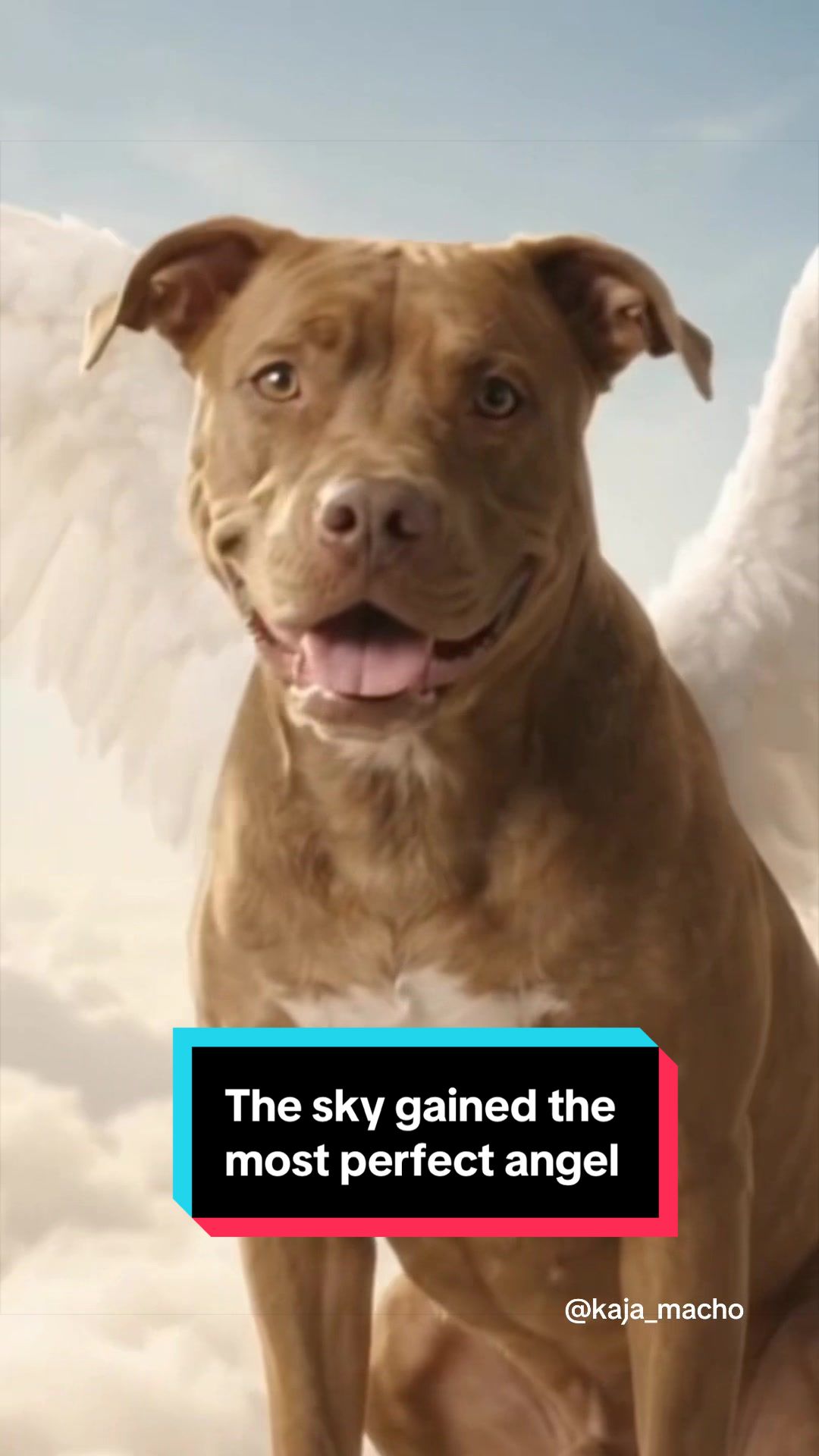 @Kaja & Macho 🥰