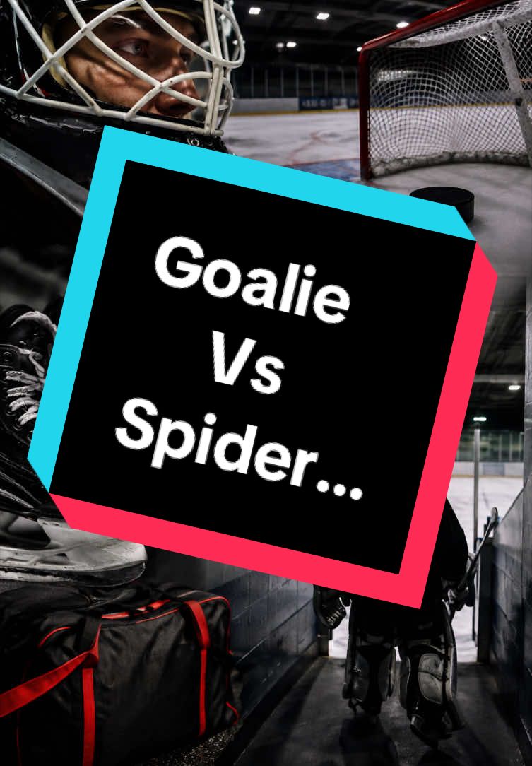 @DŁMthegoalie