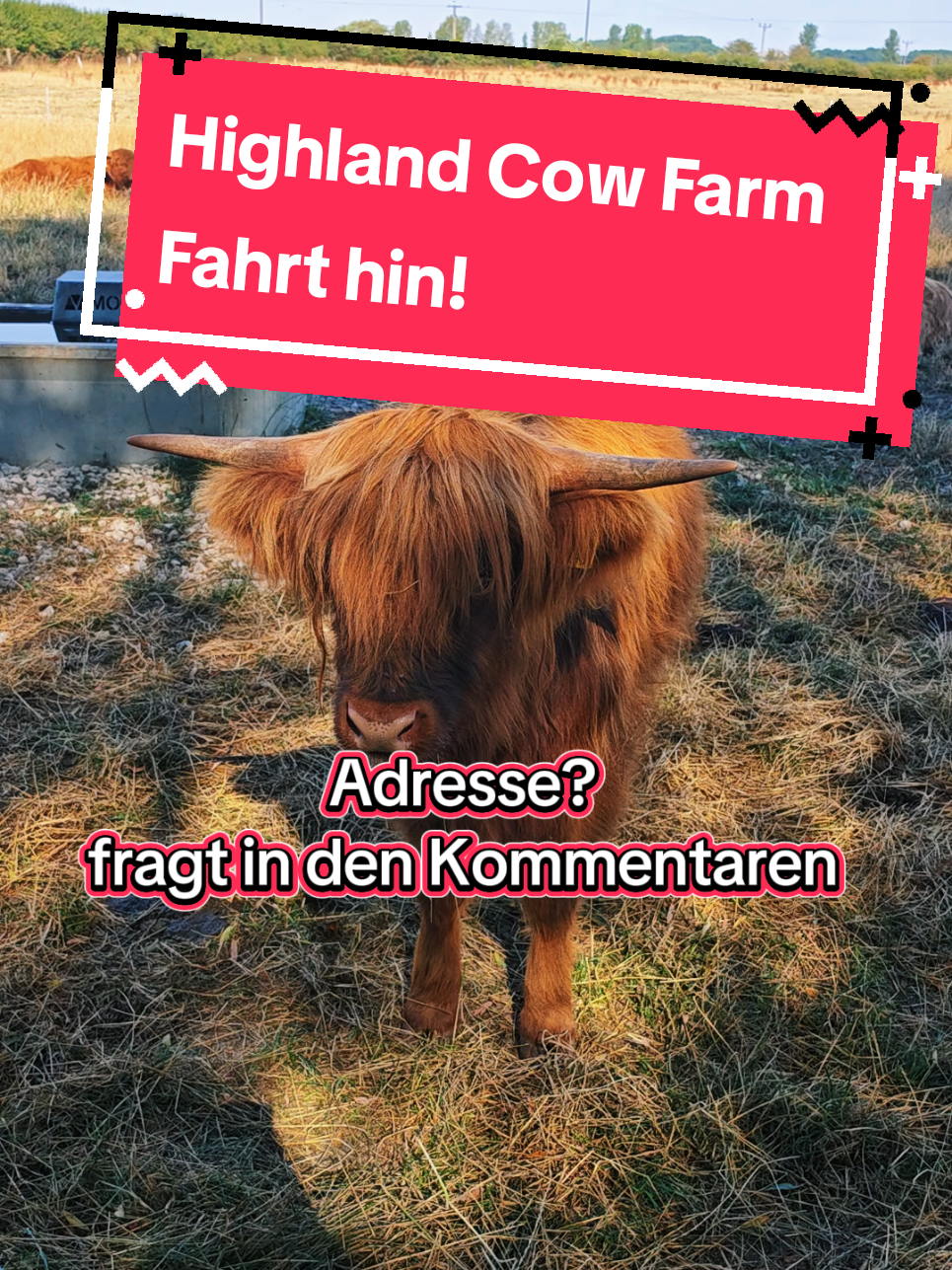 @Lehrer MCWorld666
