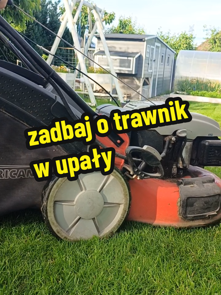 @Marcin ogrodnik