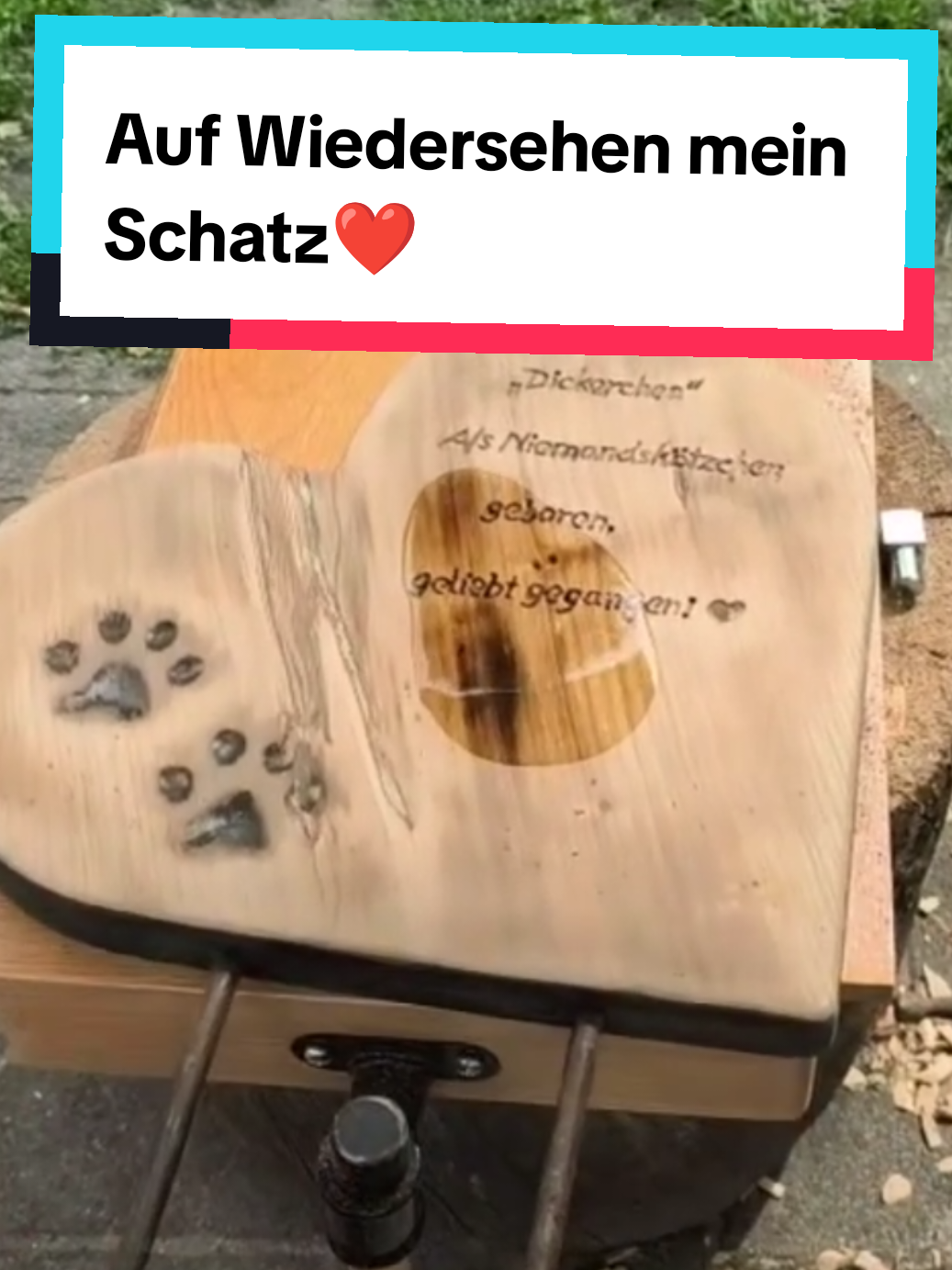 @DieSelbstvOrsorger