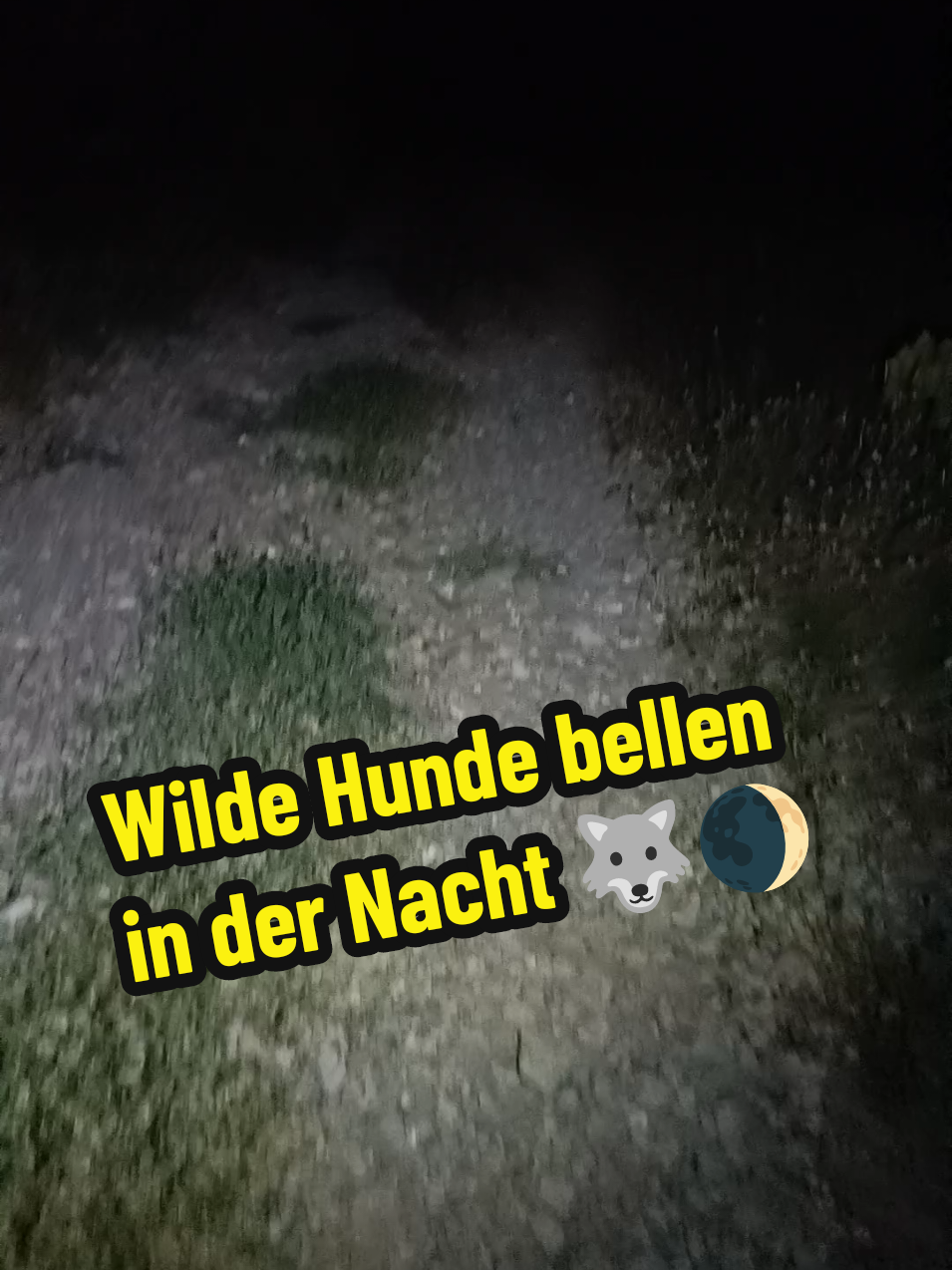 @berndout