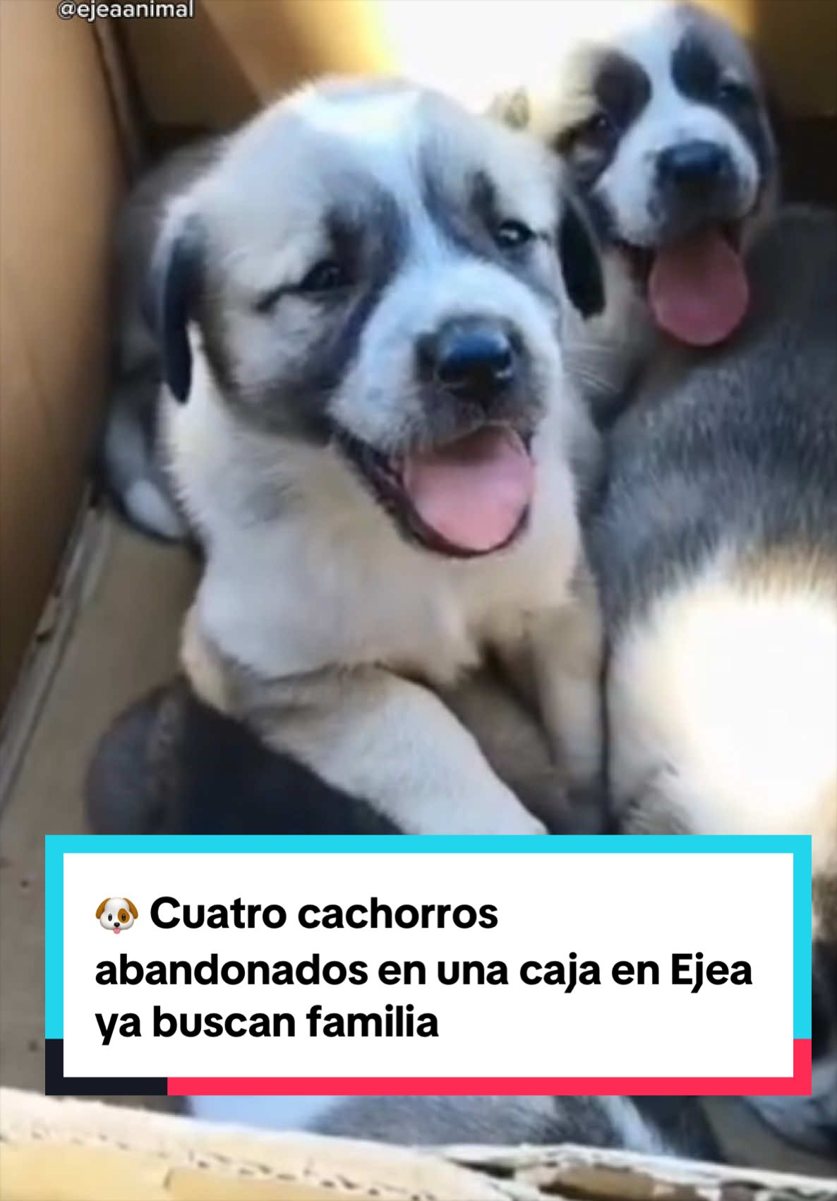 @Heraldo de Aragón - Noticias
