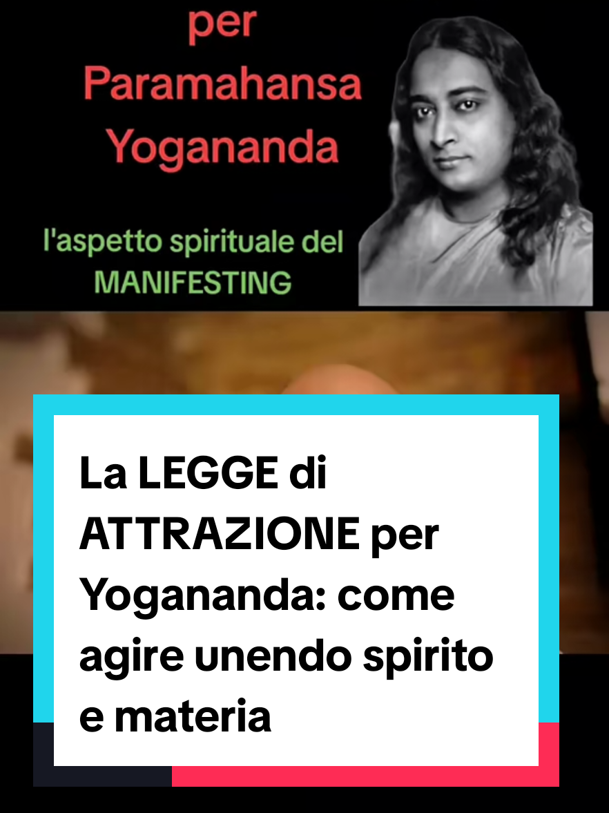 @Evolving_Trainer