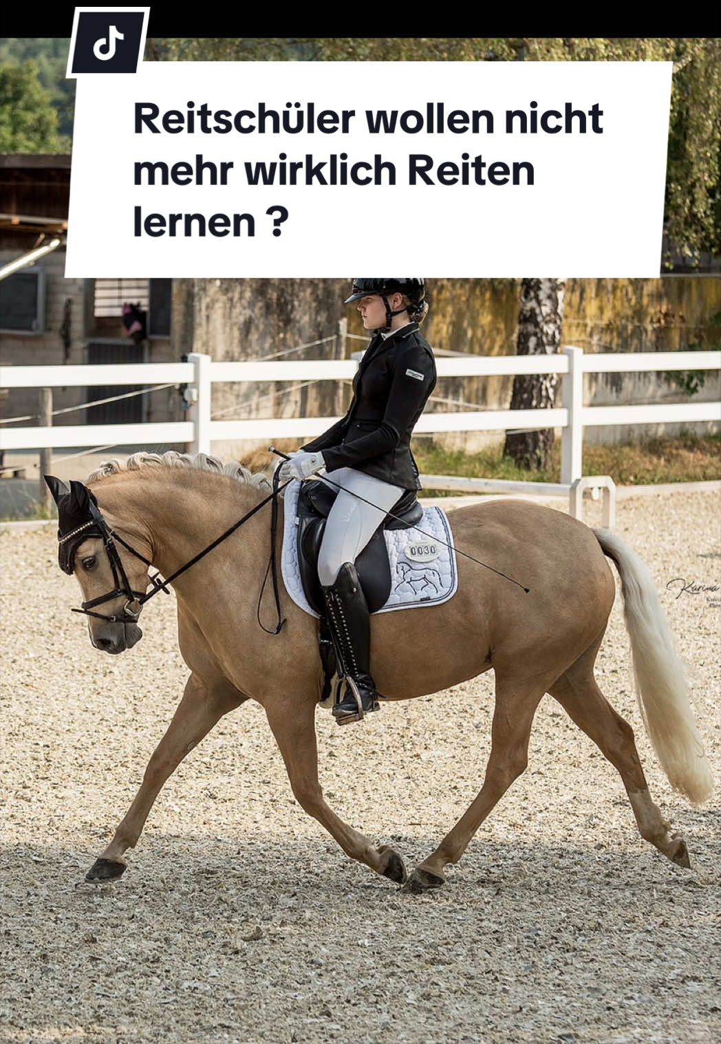 @Sophia • SL Reitschule