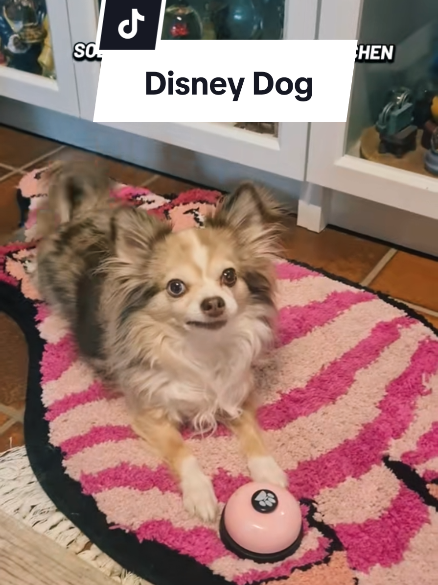 @Christin | Disney Collector