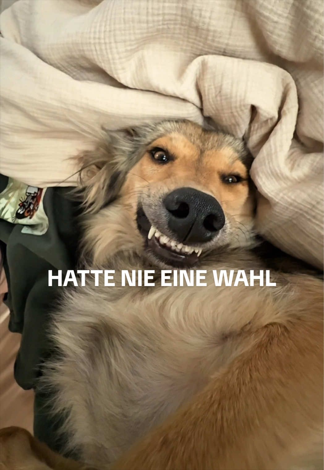 @Malte Zierden