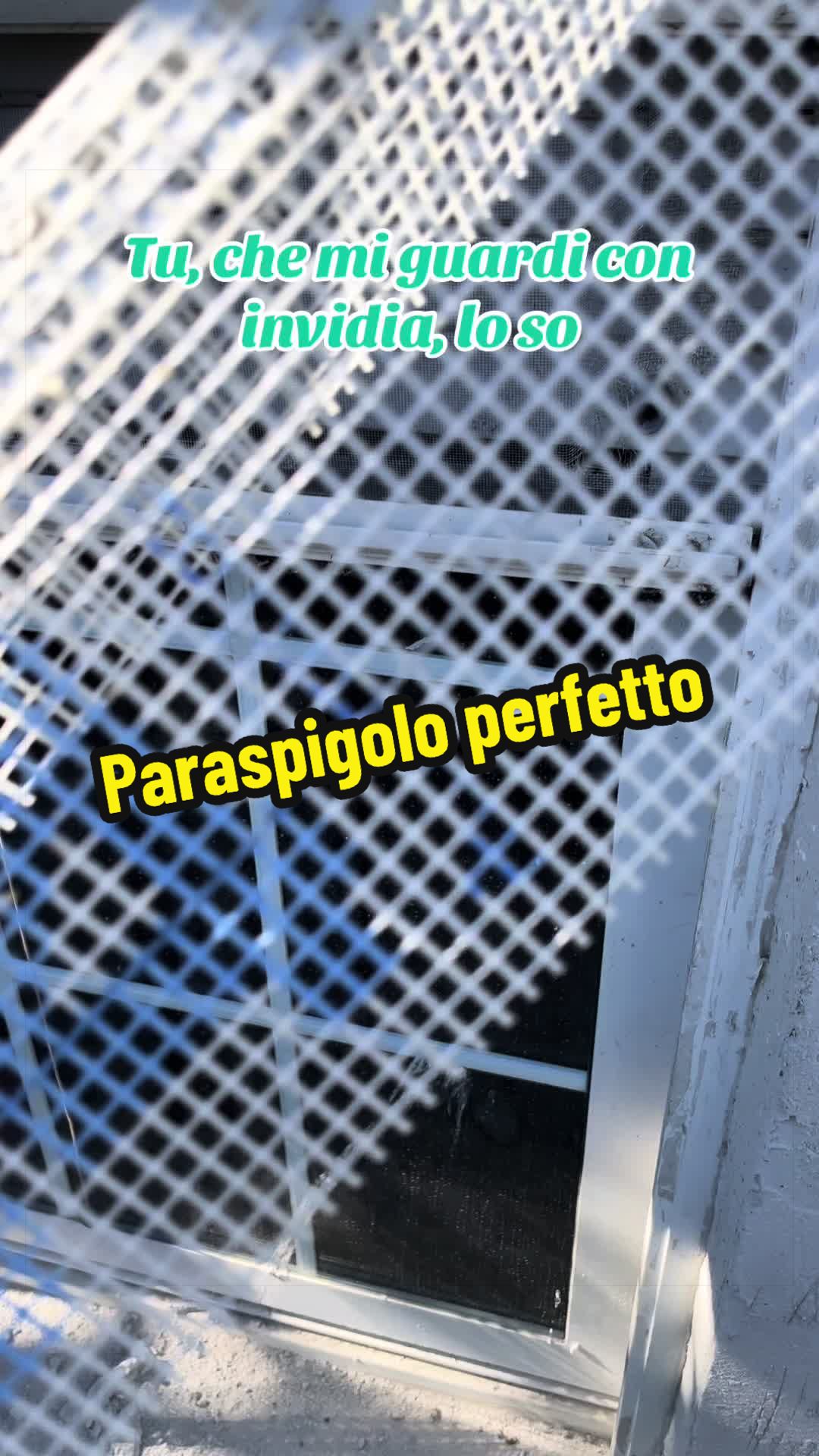 @Alessandro Cuomo ♌️