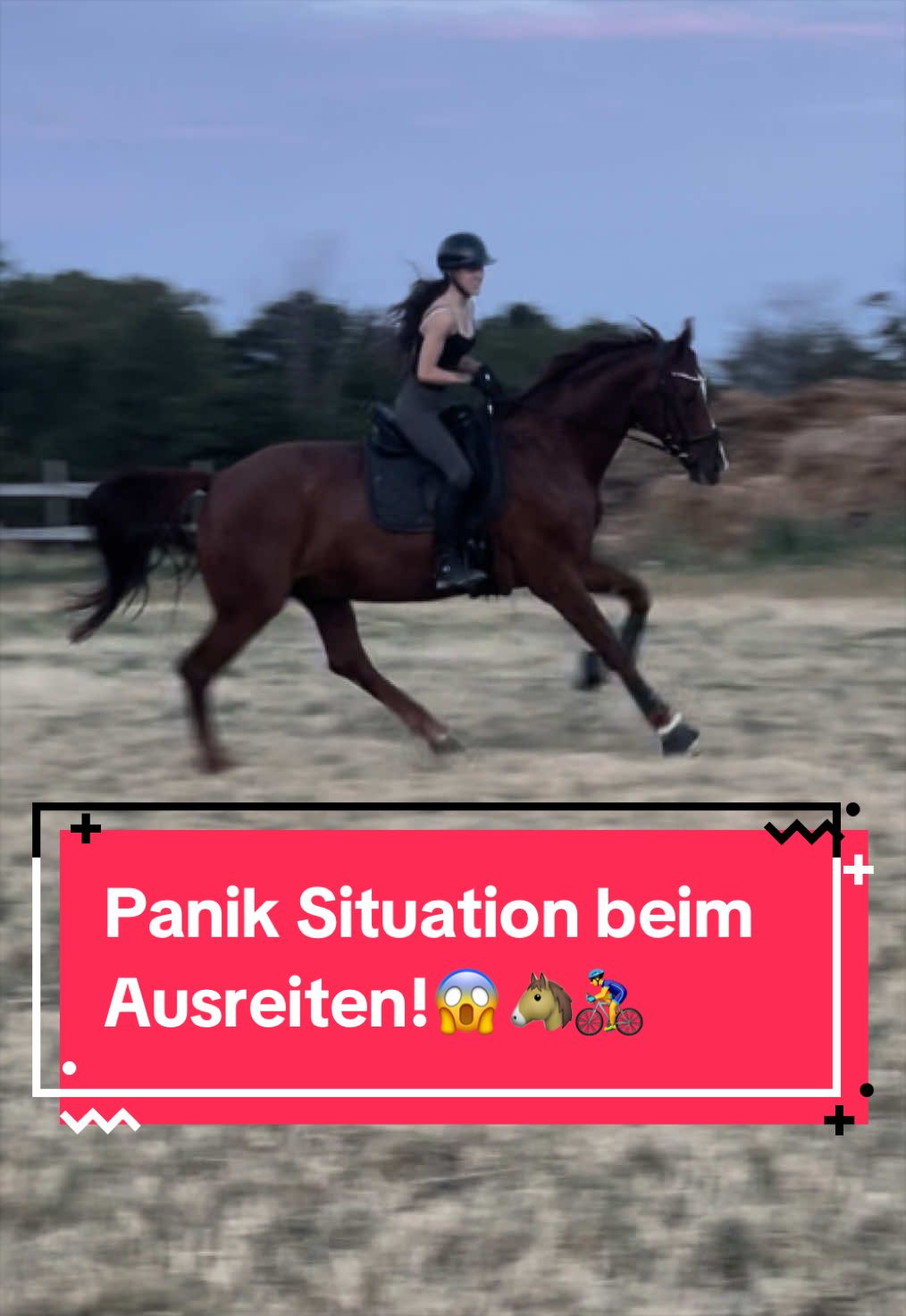 @Elisa & Samba ♡