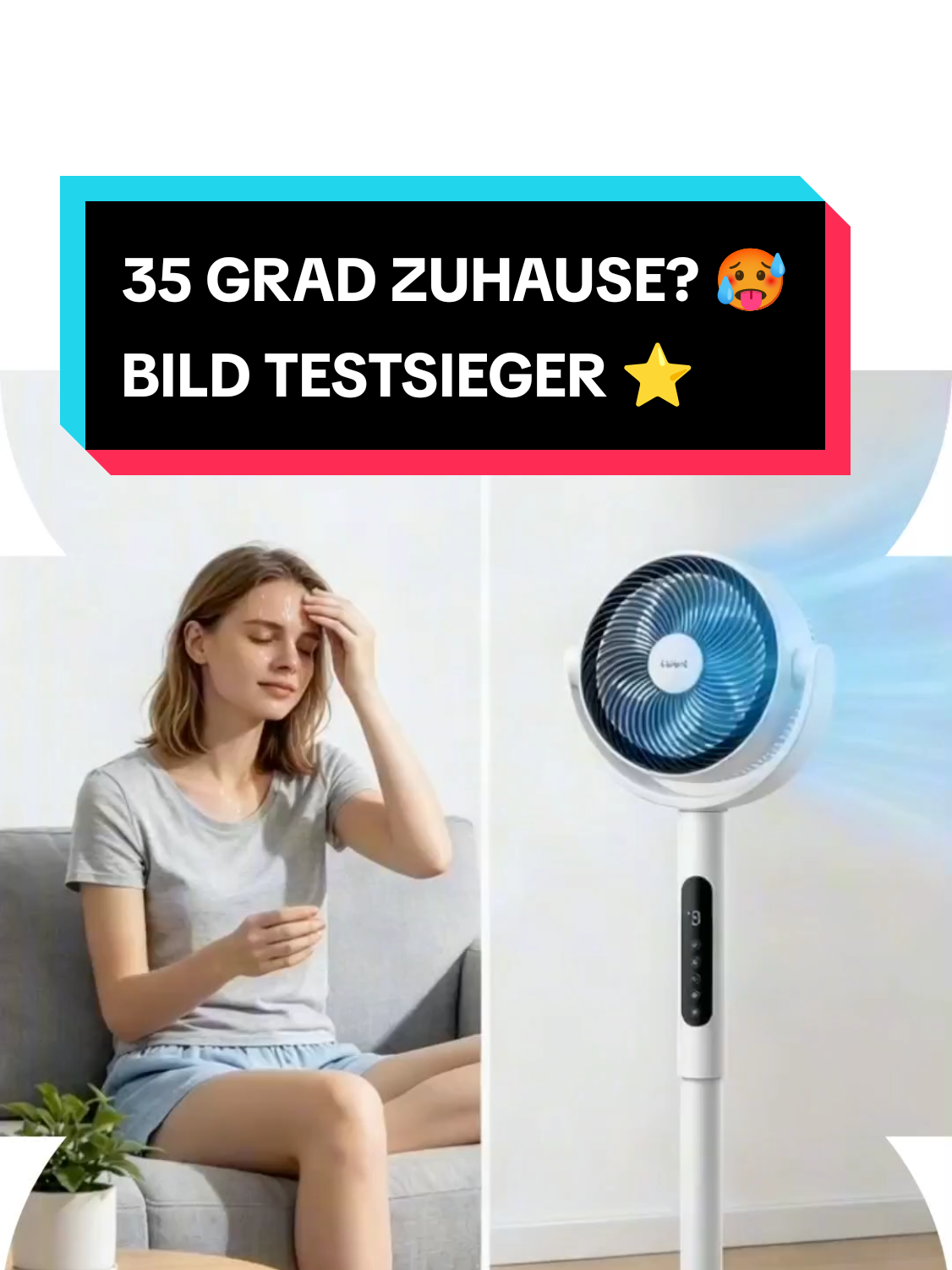 @Sparer_2026