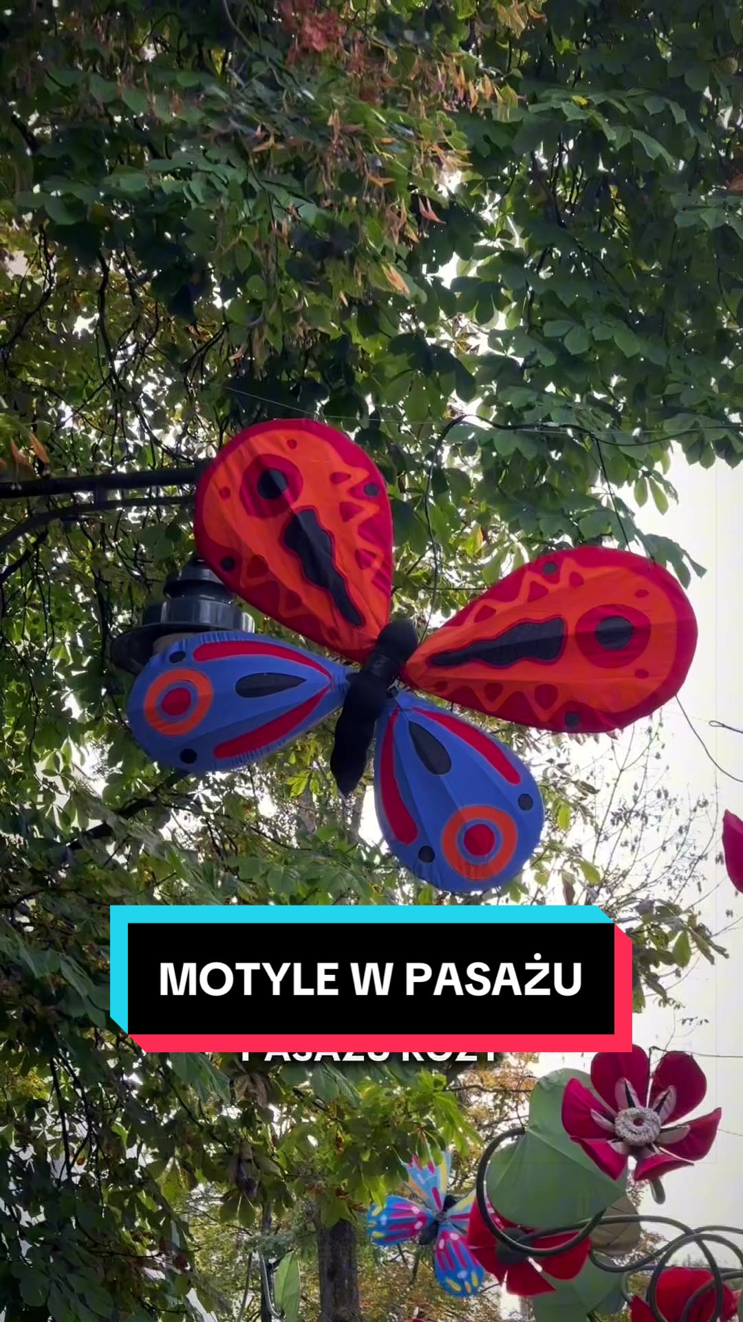 @Ł&oacute;dź 🦄