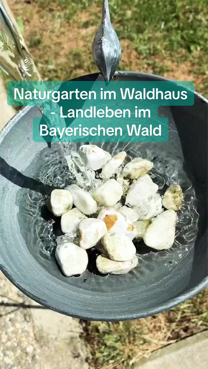 @hoiwazopf
