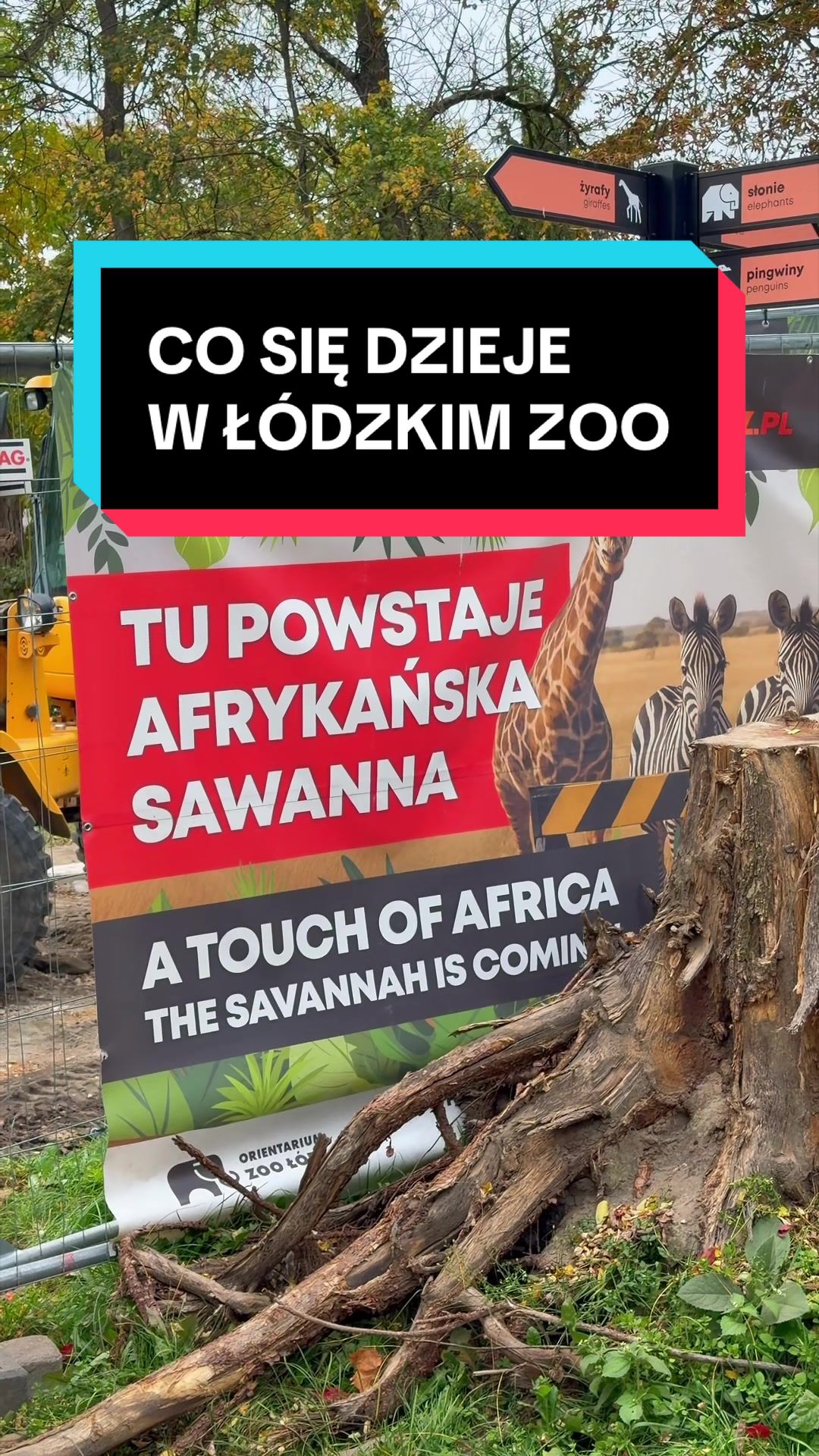 @Łódź 🦄