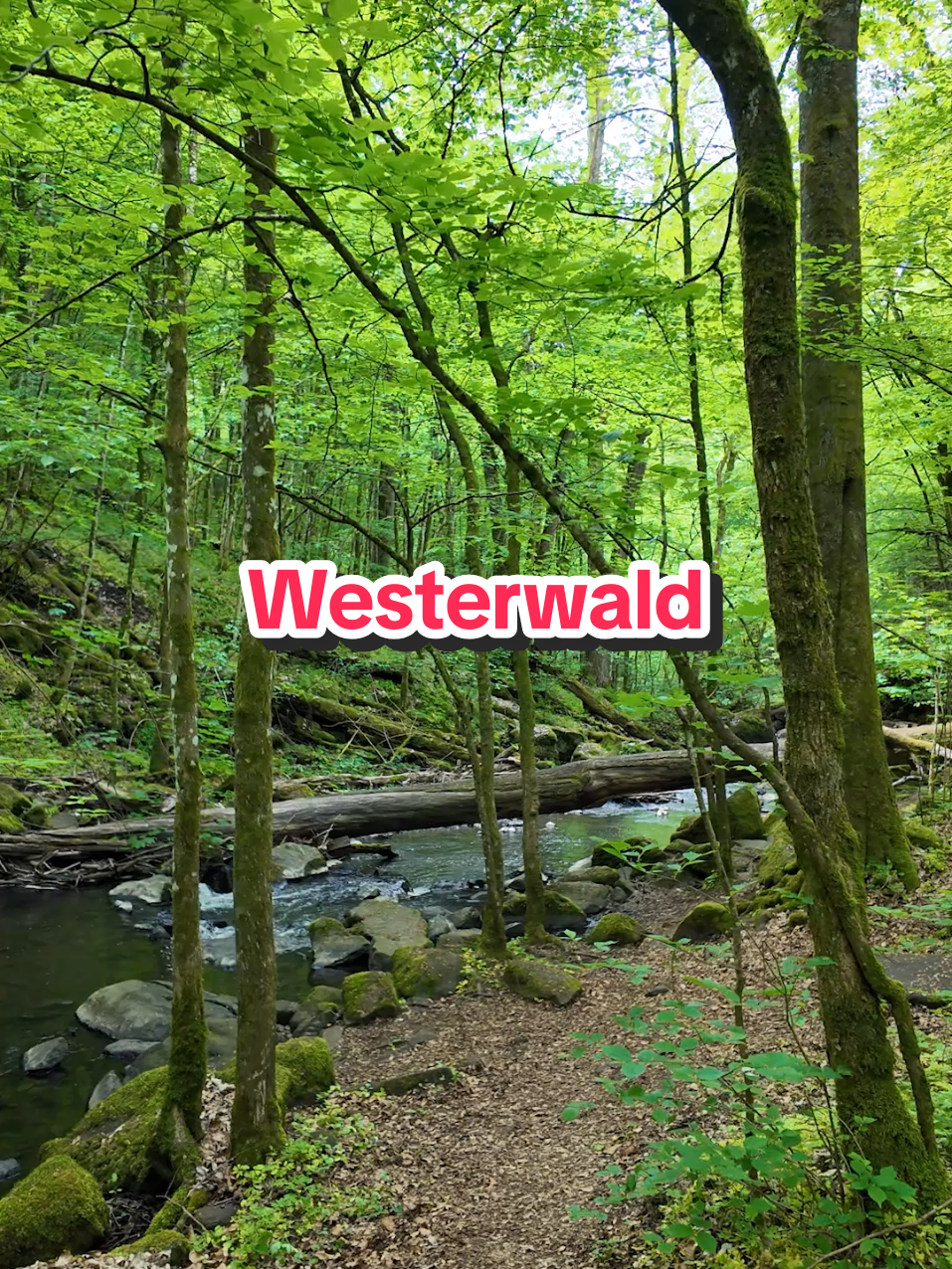 @Am Puls der Natur