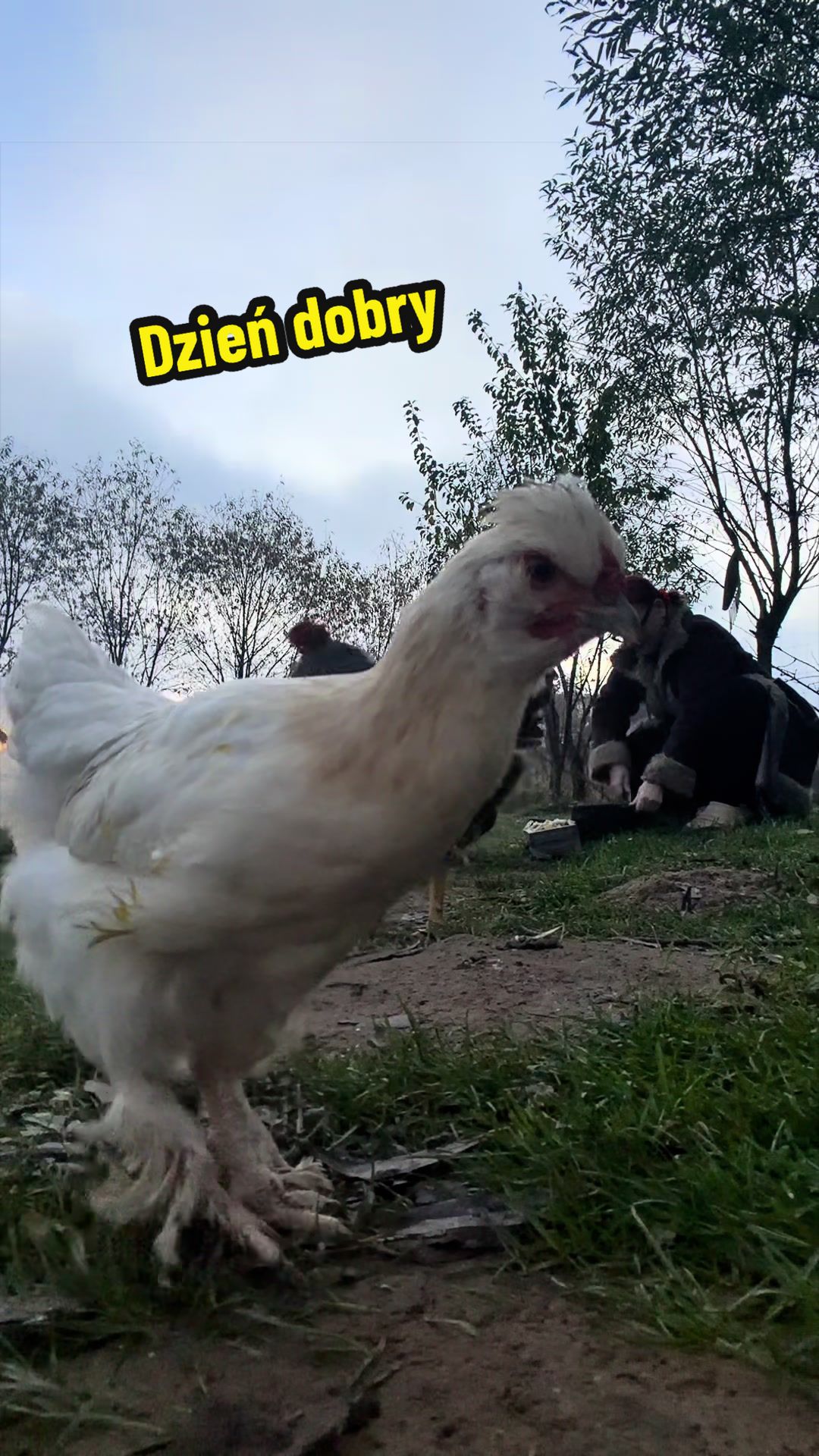 @Ania z Bieszczadzkiej Hecy🧀