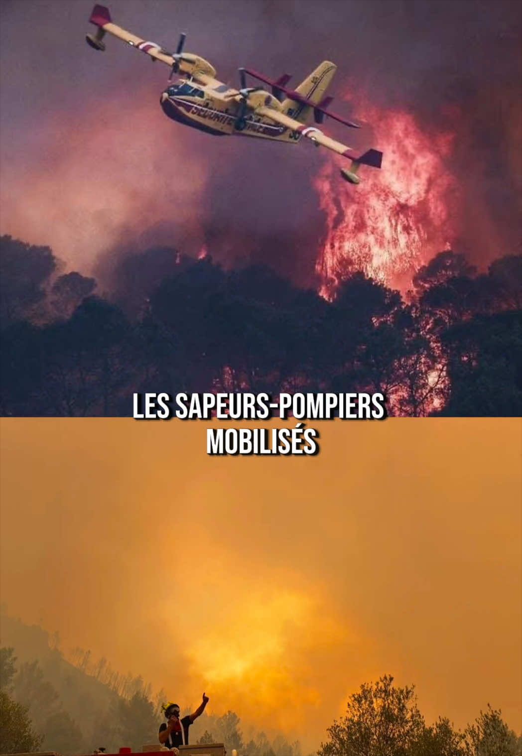 @Clémence IDE 🦋💉