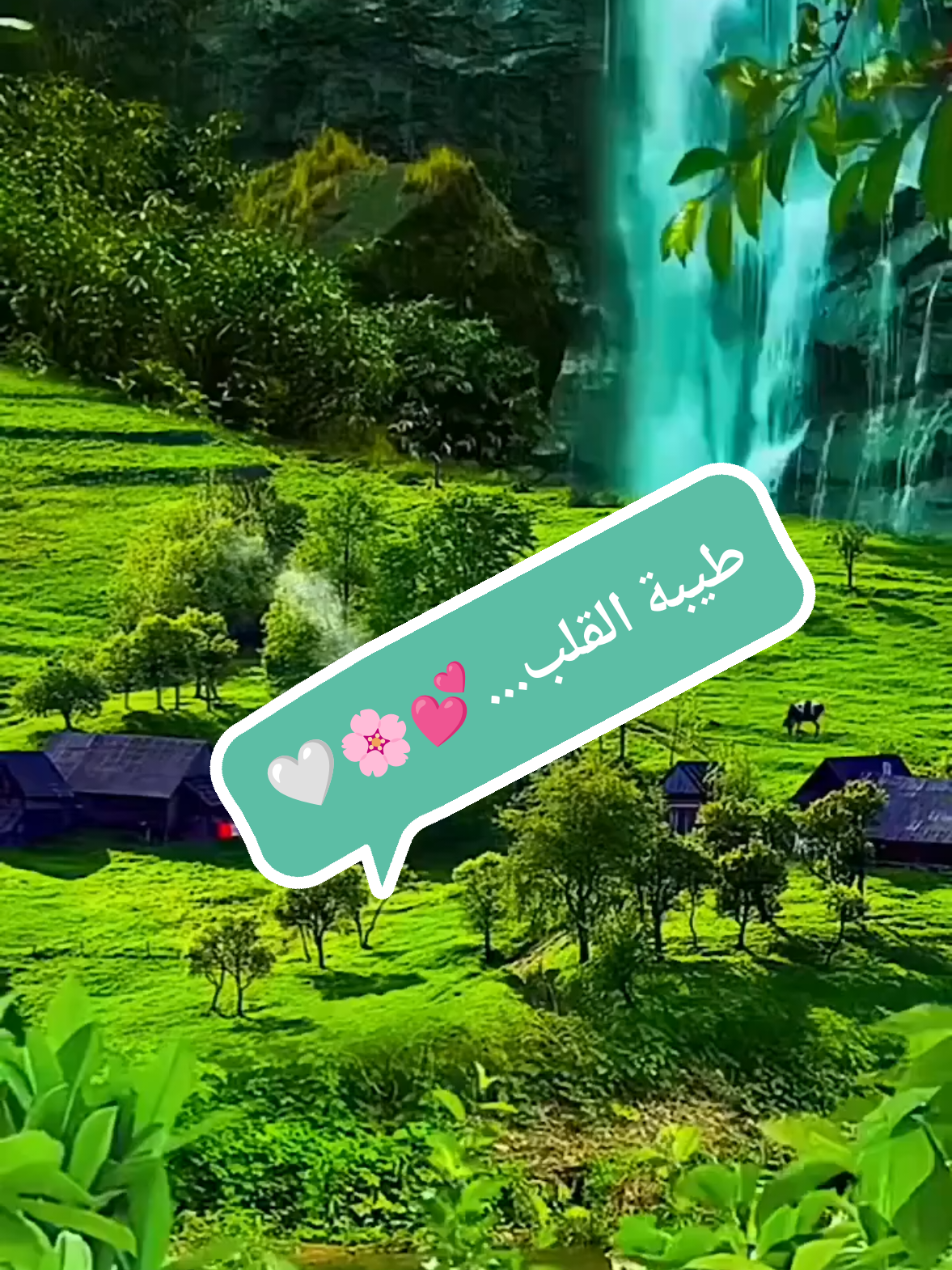 @صدى الصمت 🌸