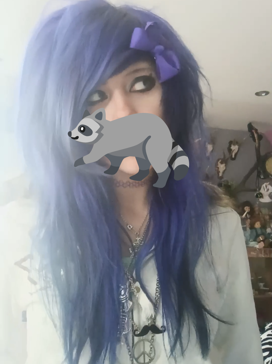 @💜𝕷𝖎𝖛𝖘 𝕽𝖆𝖈𝖈𝖔𝖔𝖓𝖘🦝