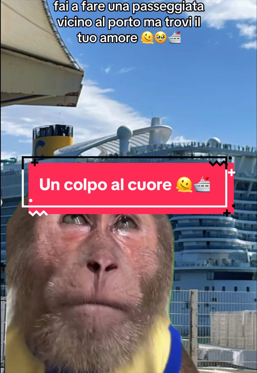 @Cruise_dreams 🛳️✨