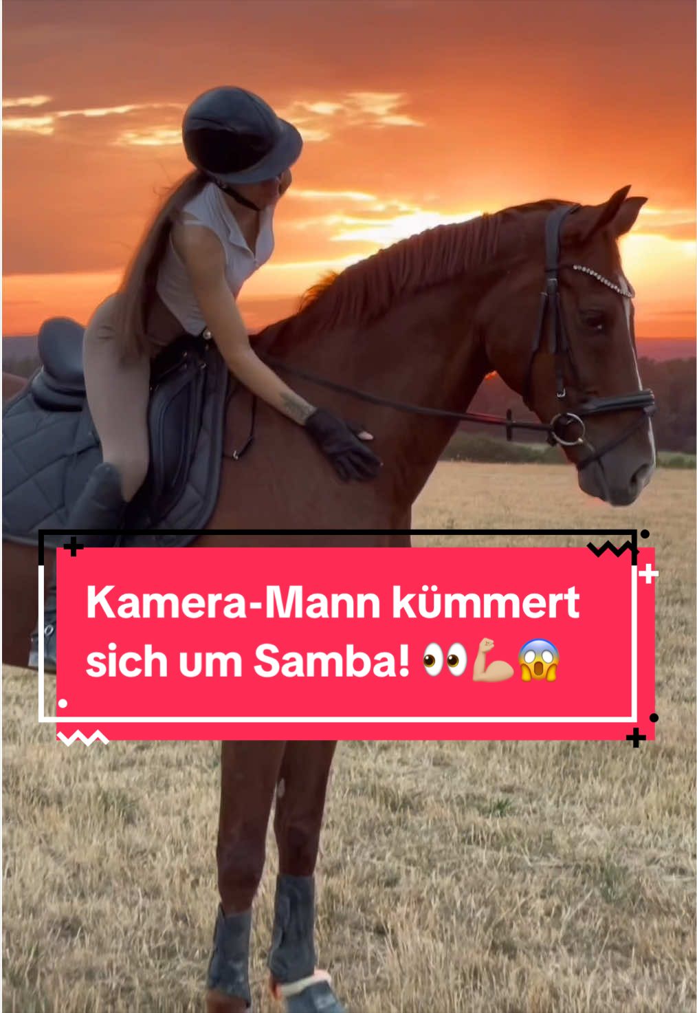 @Elisa & Samba ♡