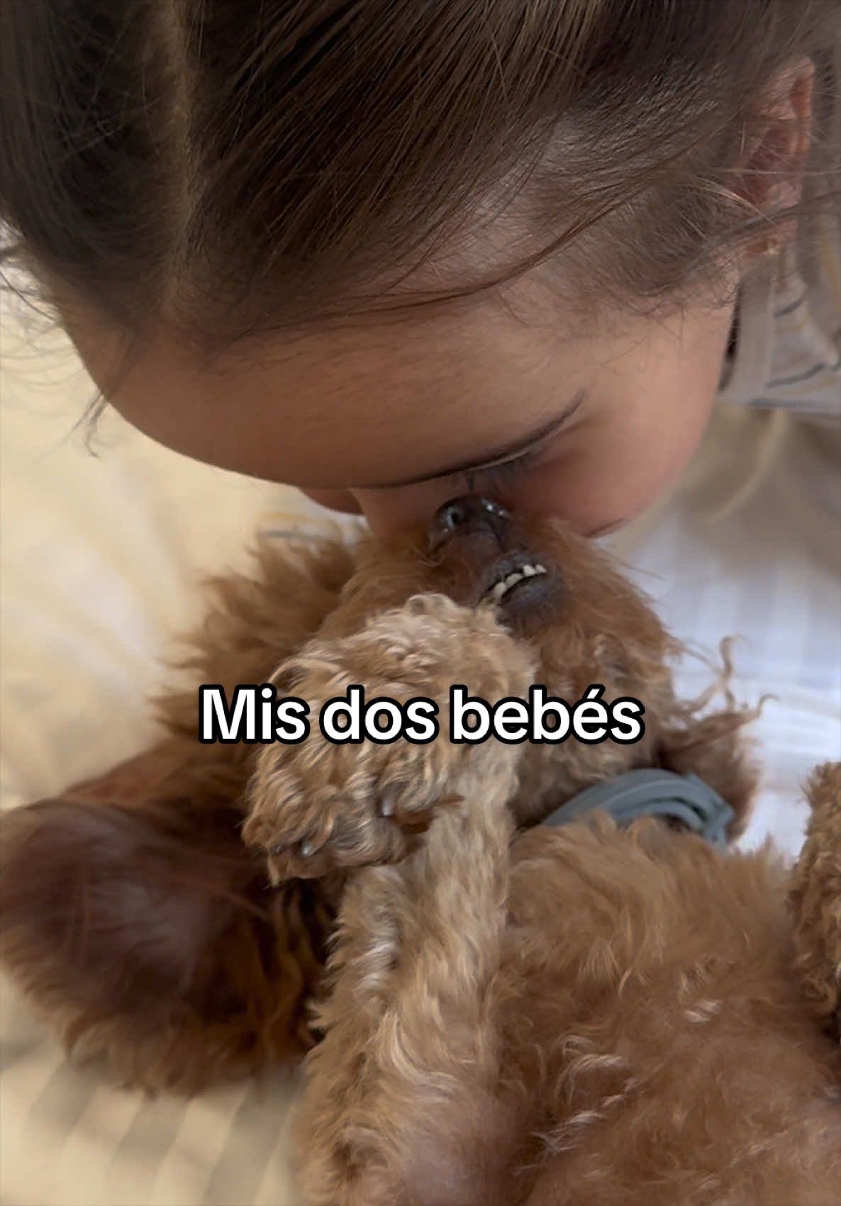 @Amanda Carrero