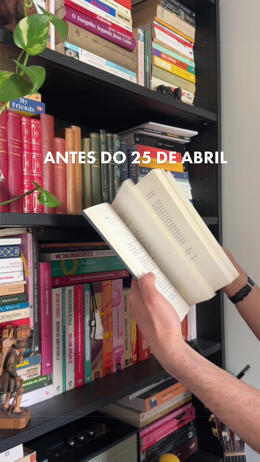 @Manel Oliveira ✨