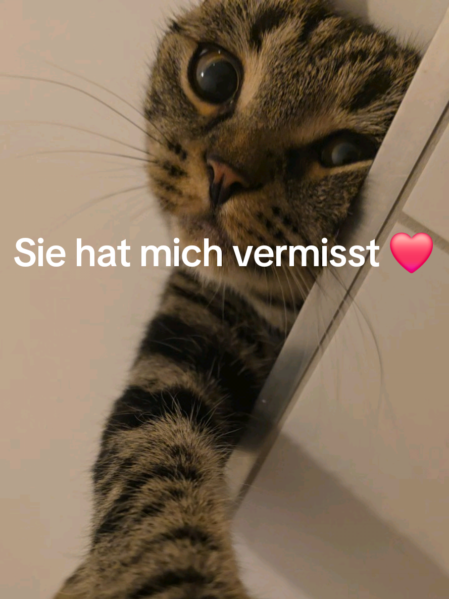 @Kristina