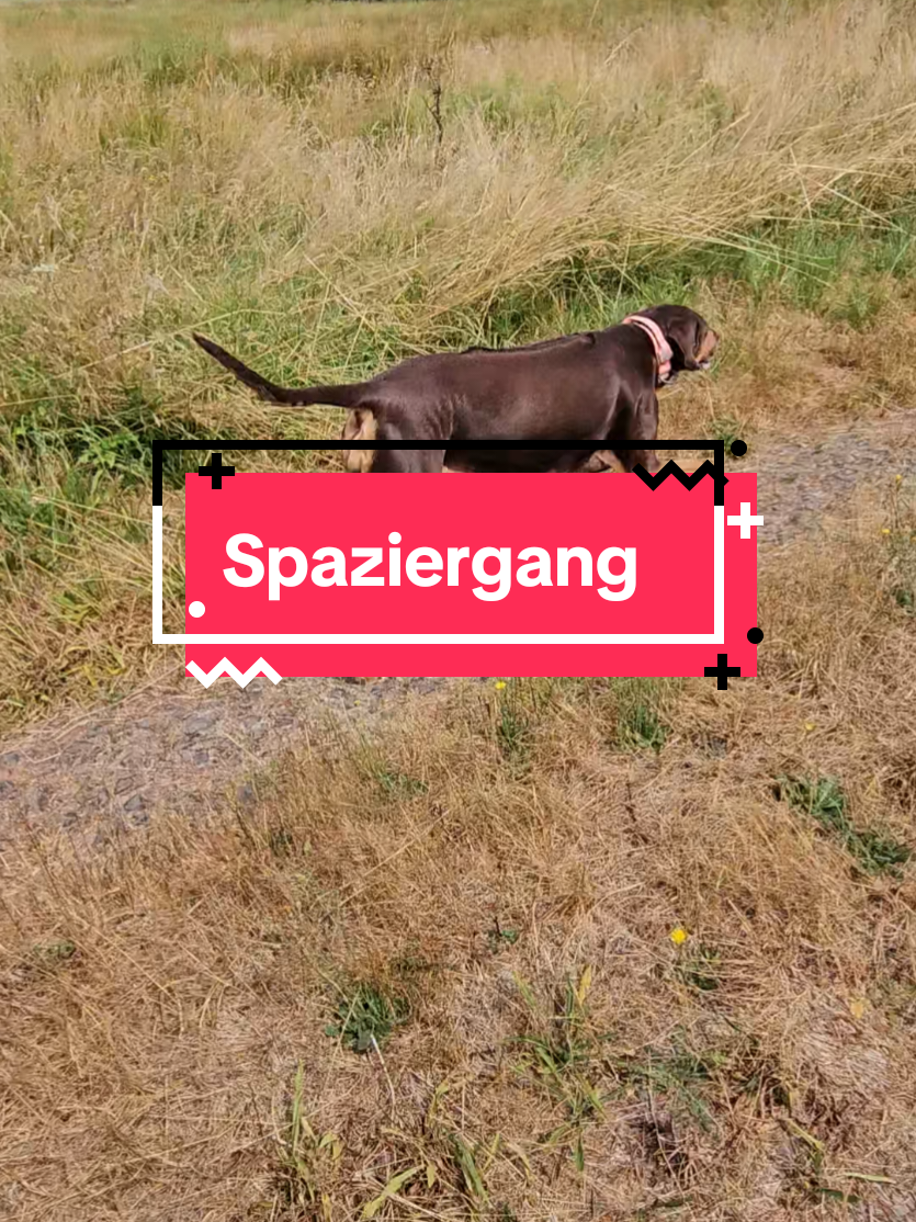 @Paddy und Sally