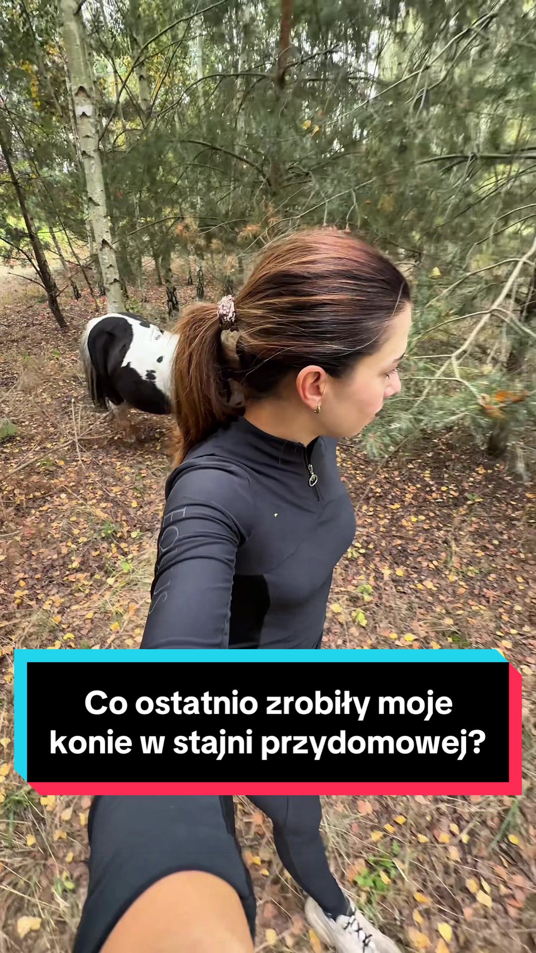 @Stado_Belli