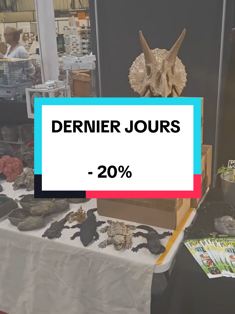 @nac3d