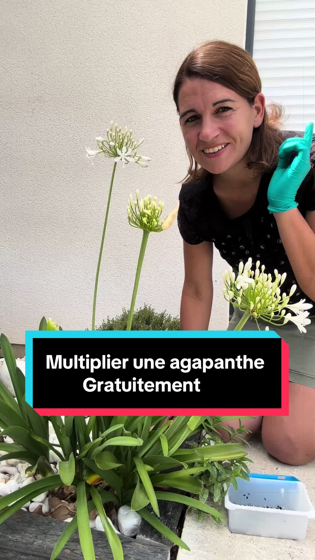 @La main verte de Marion