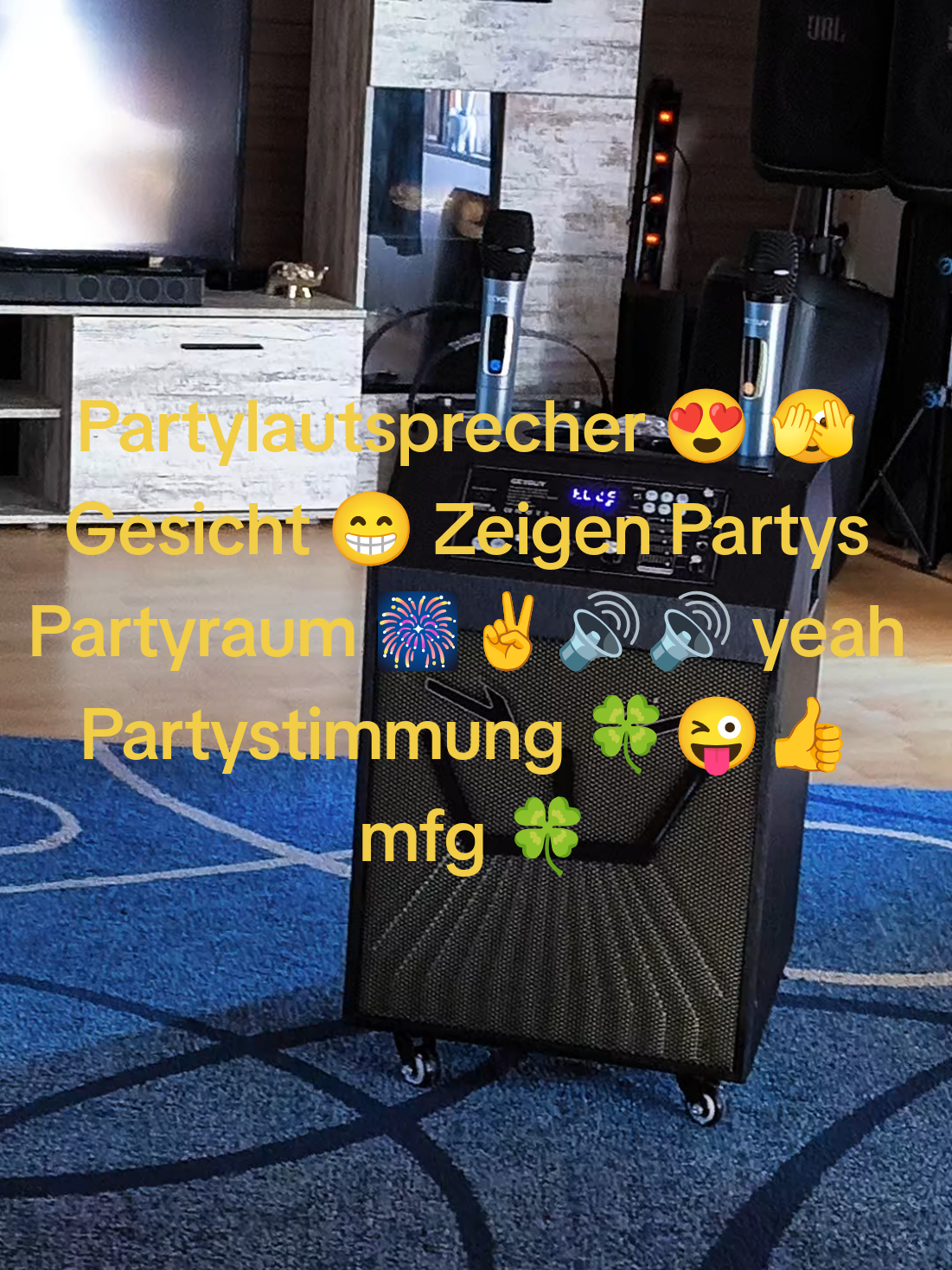 @DJ Feiermeister