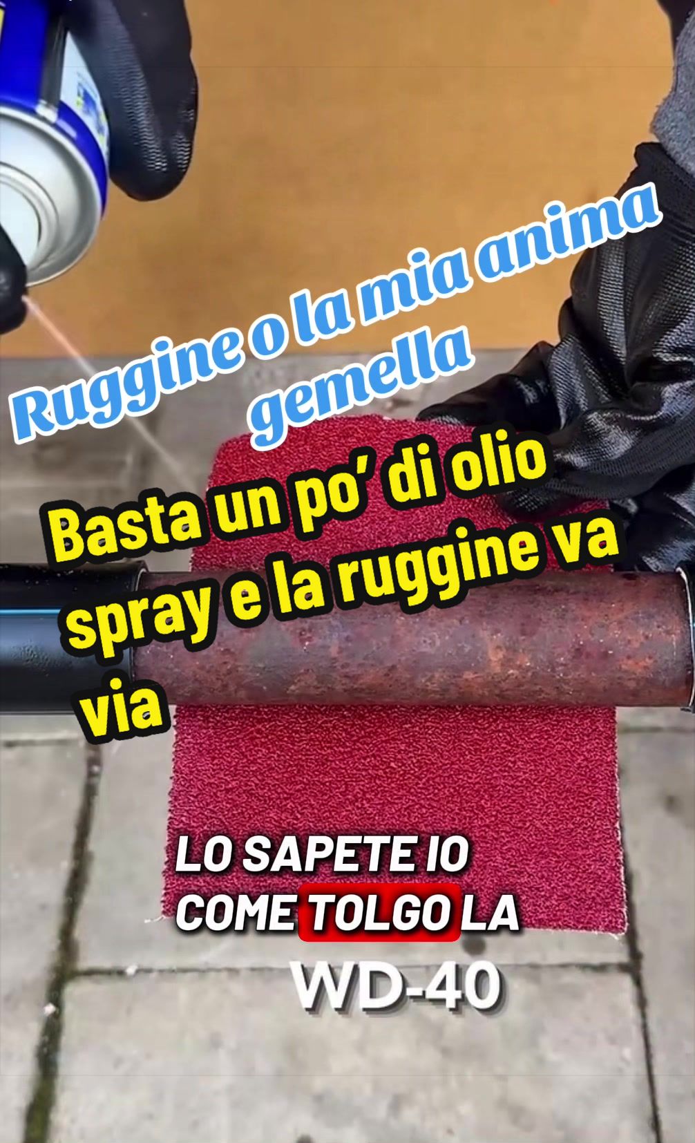 @Alessandro Cuomo ♌️