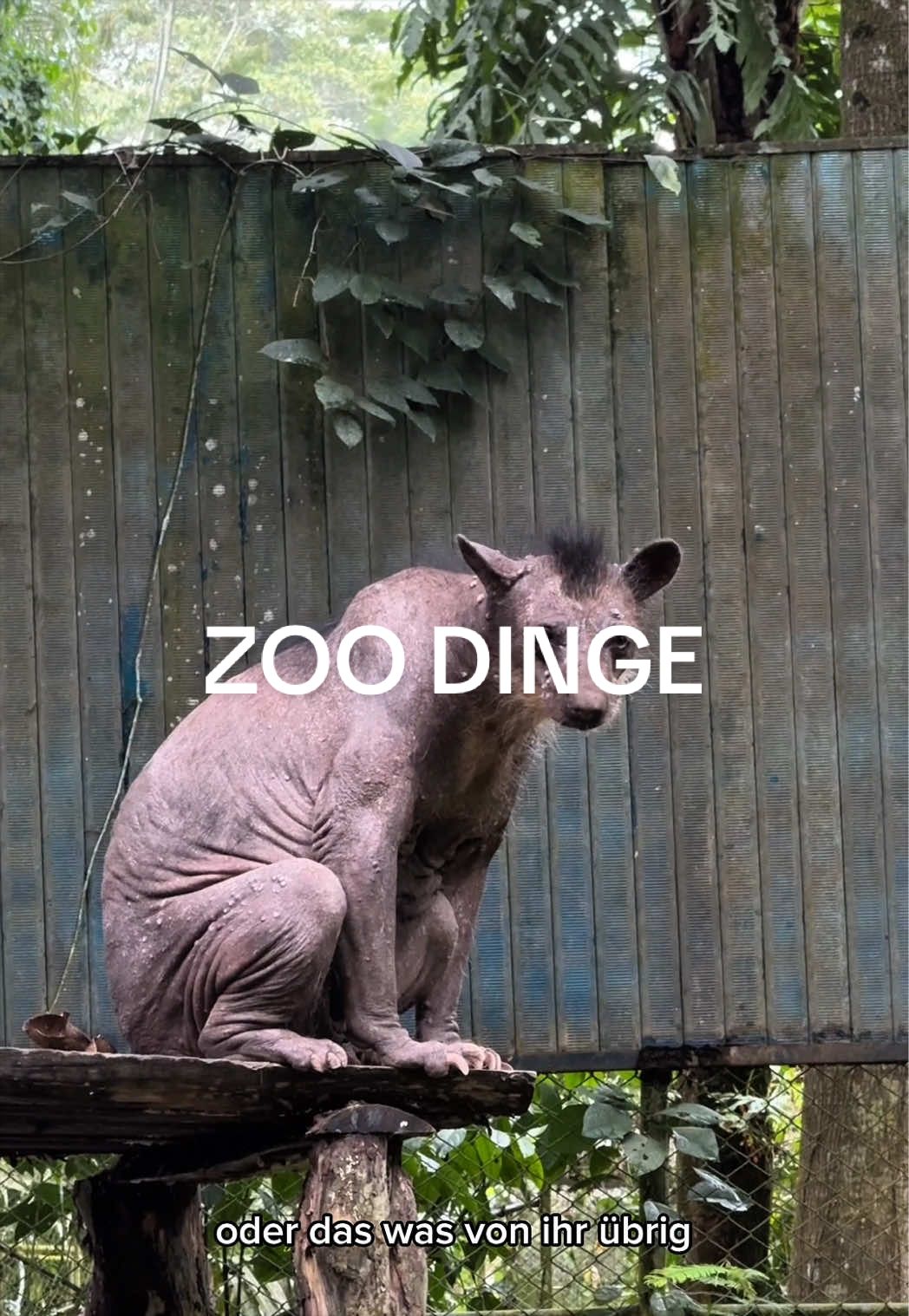 @Malte Zierden