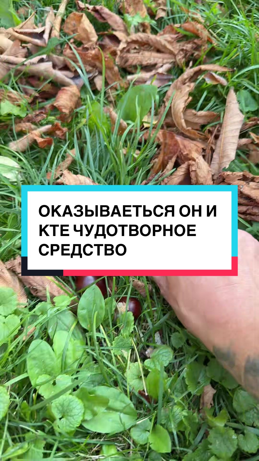@laifhak_mozgi