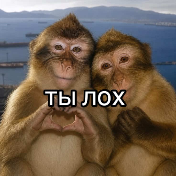 @без фильтров2