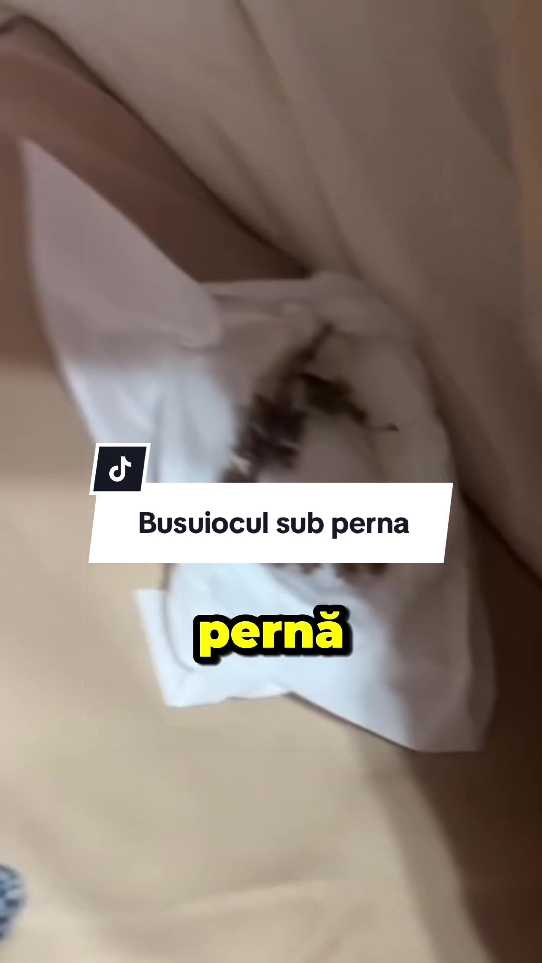 @CostiCuriosul