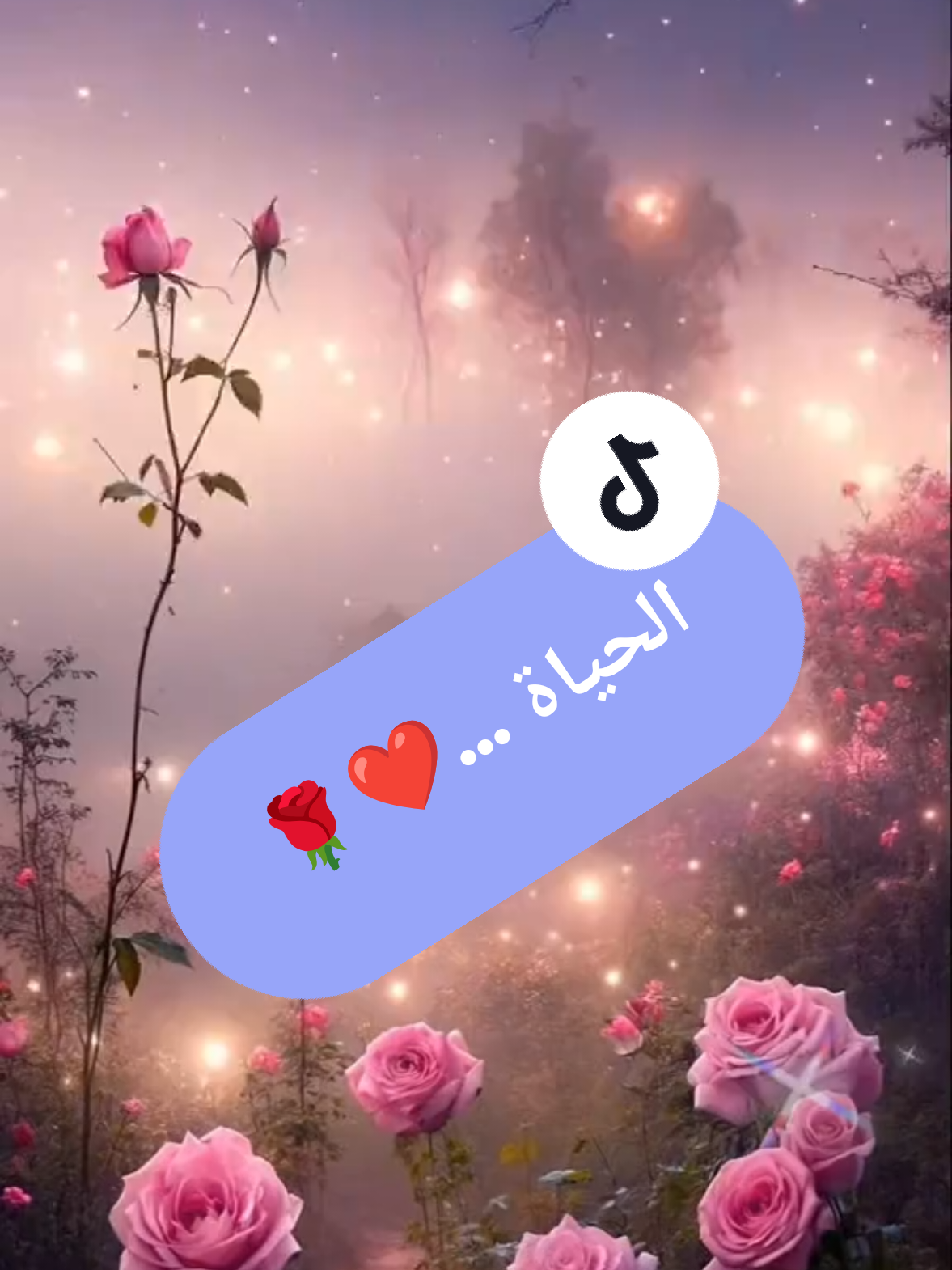 @صدى الصمت 🌸