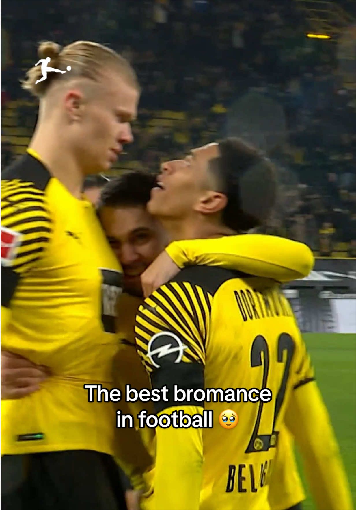 @Bundesliga