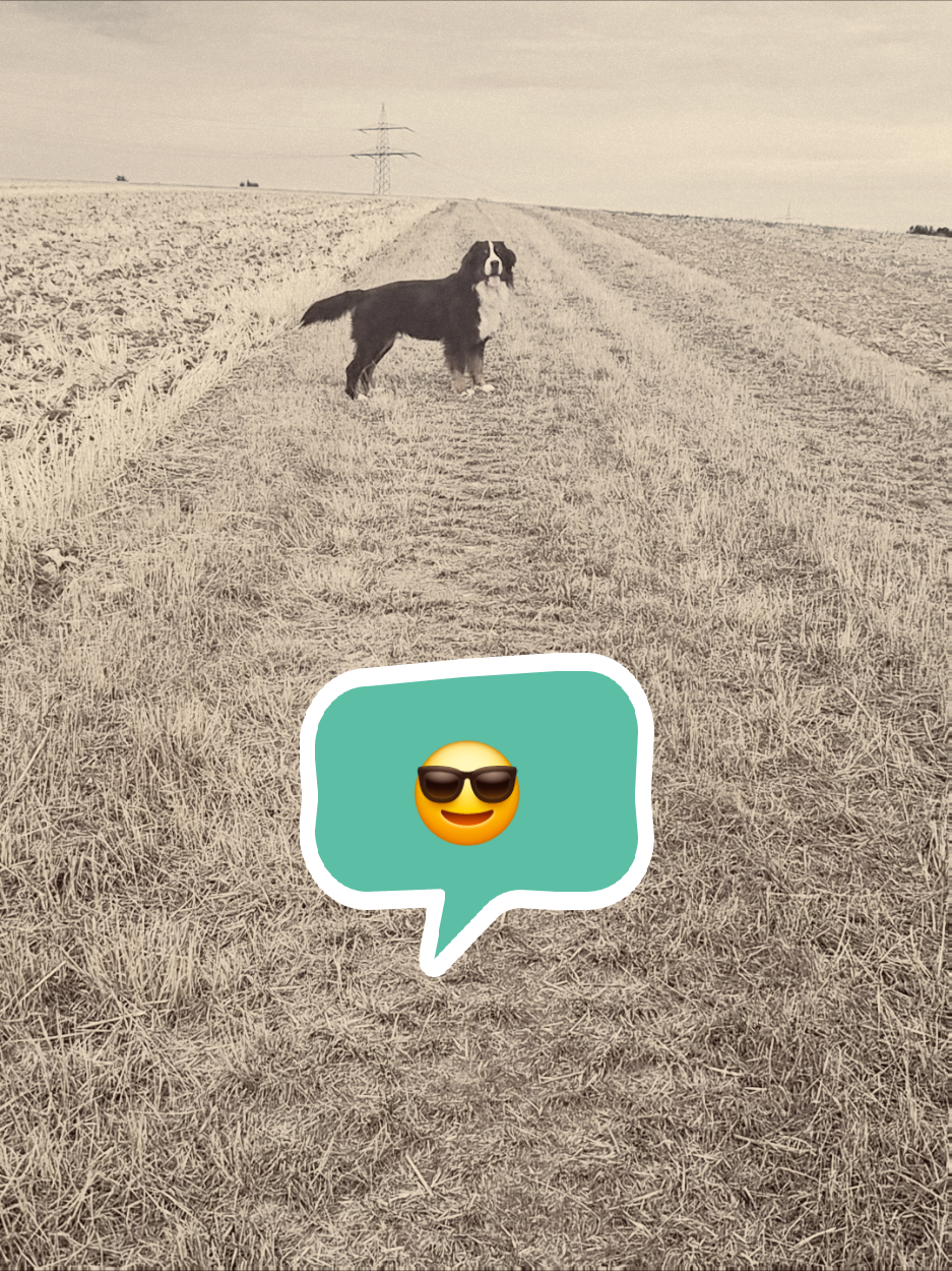@BeagleTrifftBerner
