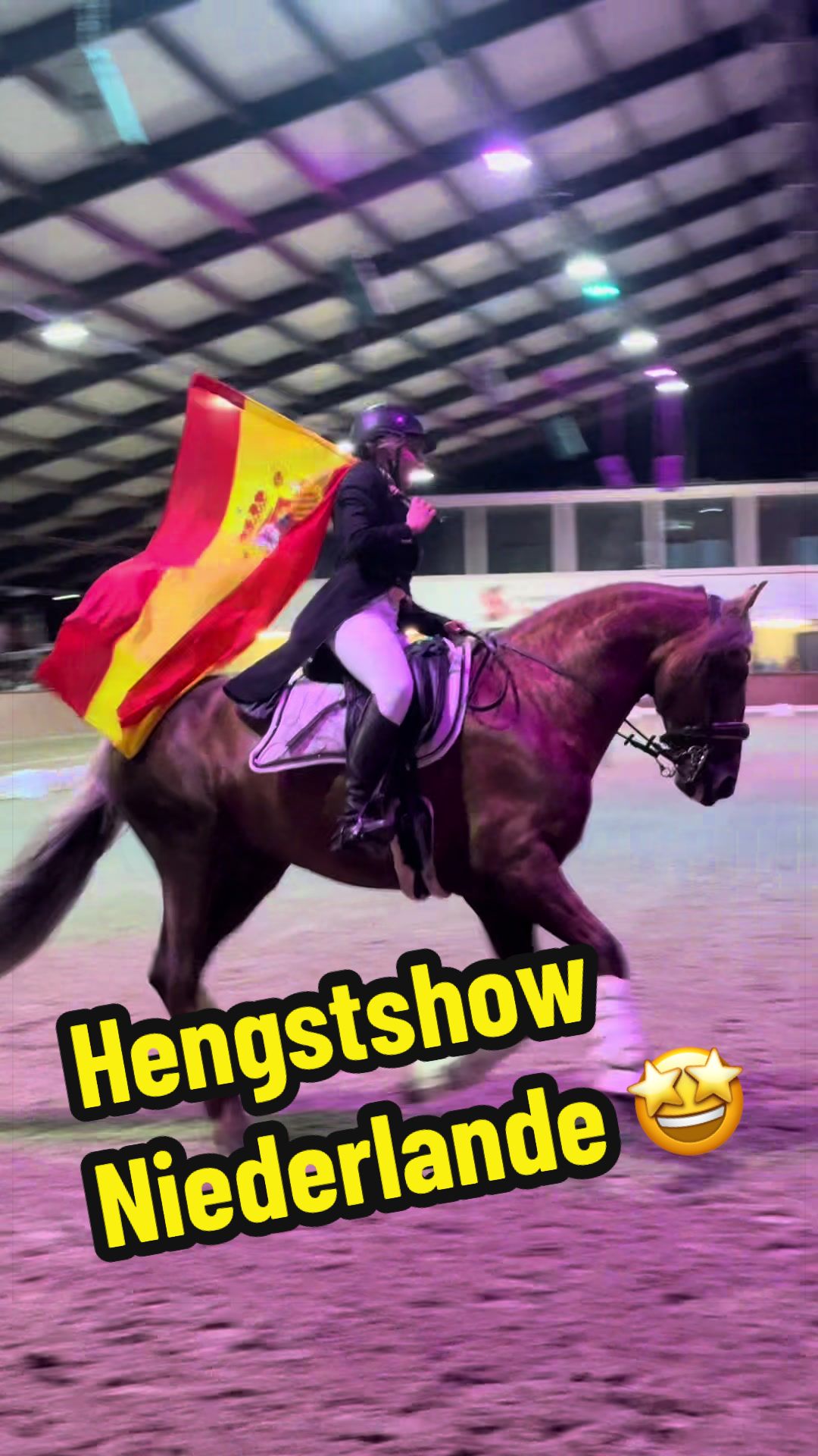 @Deckhengst_EstudiosoDeViñuela