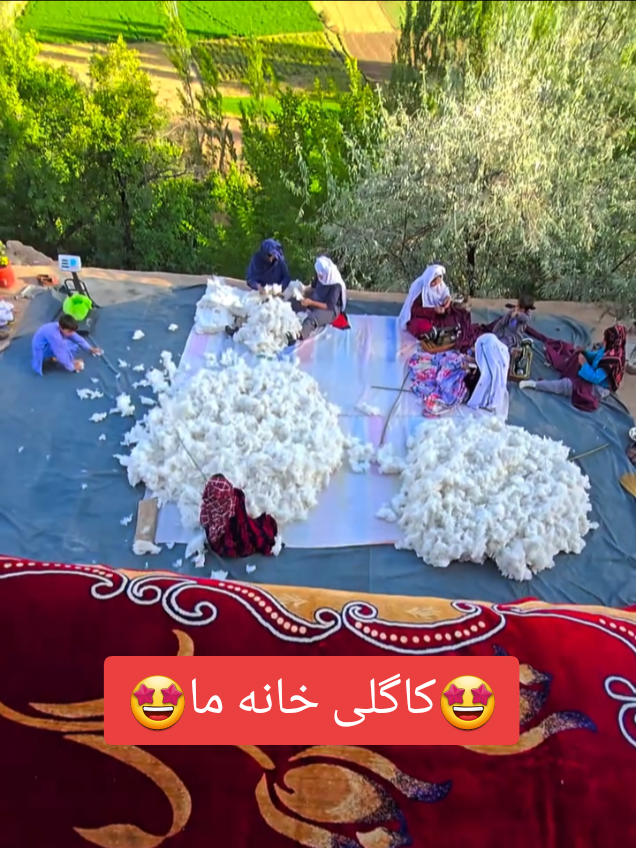 @اکونت فروشی پروفشنل