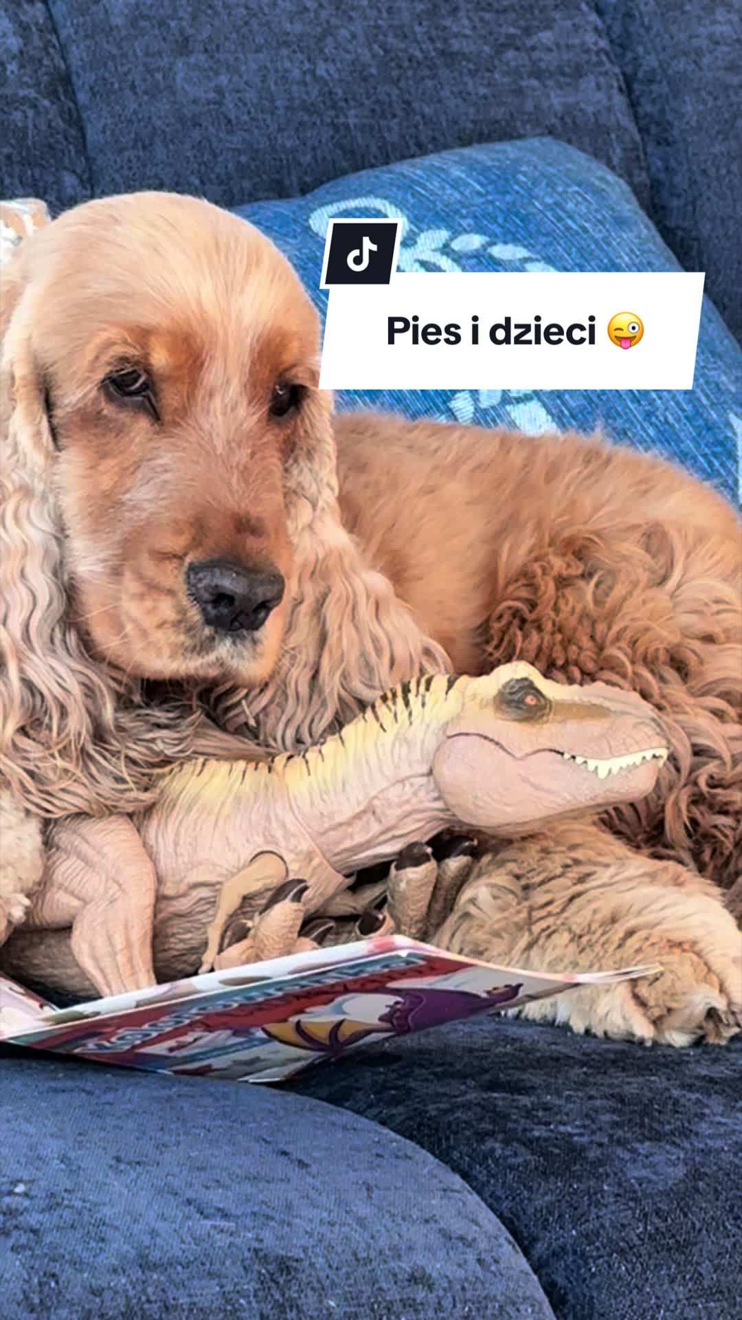 @okulistavet