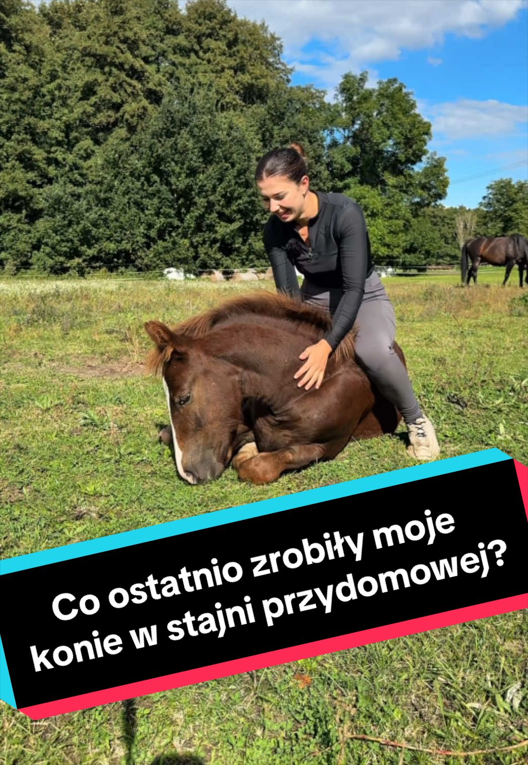 @Stado_Belli