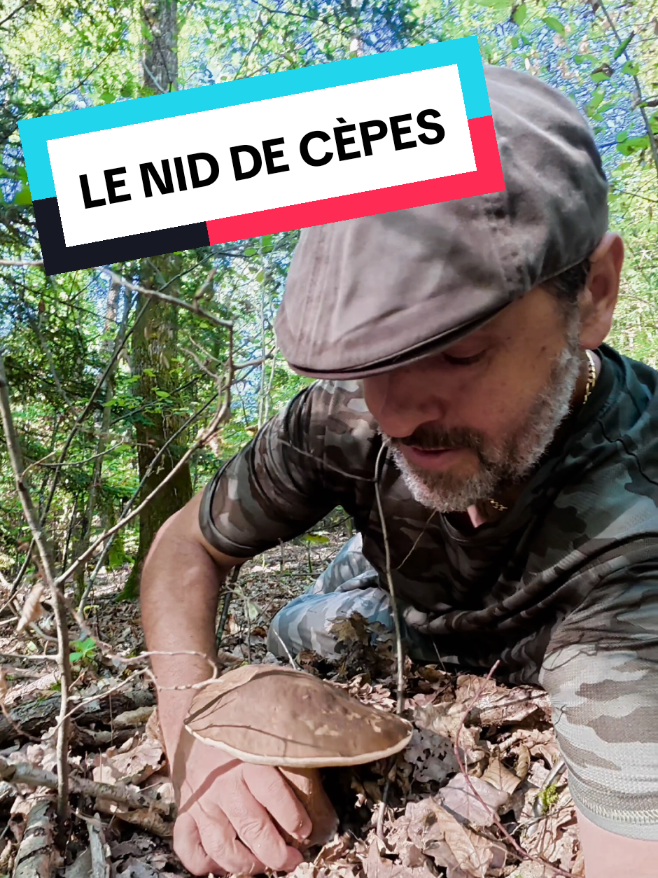 @Dan 🍄🟫 Le Champologue
