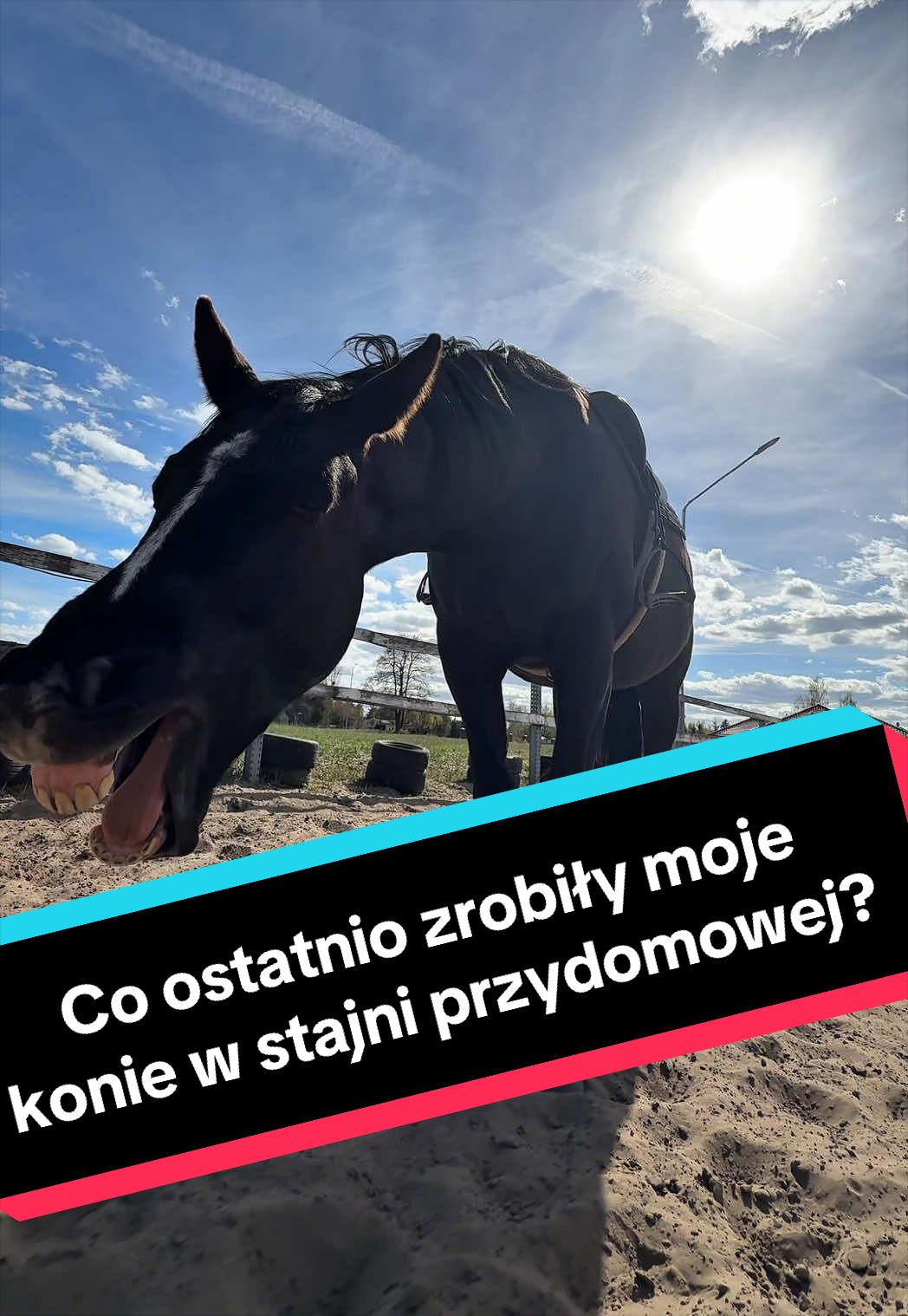 @Stado_Belli
