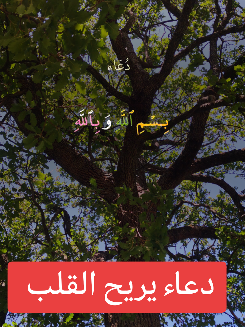 @Idoghlaf Mohamed